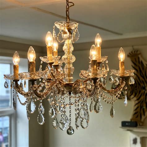 Chandellia 